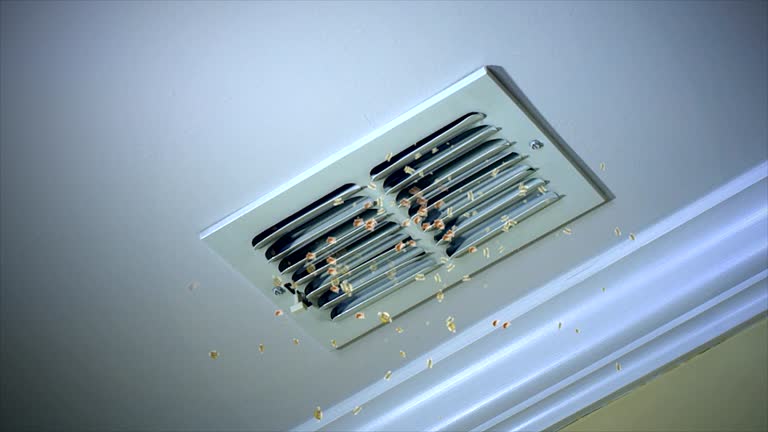 Best Home Air Vent Cleaning  in Burnet, TX