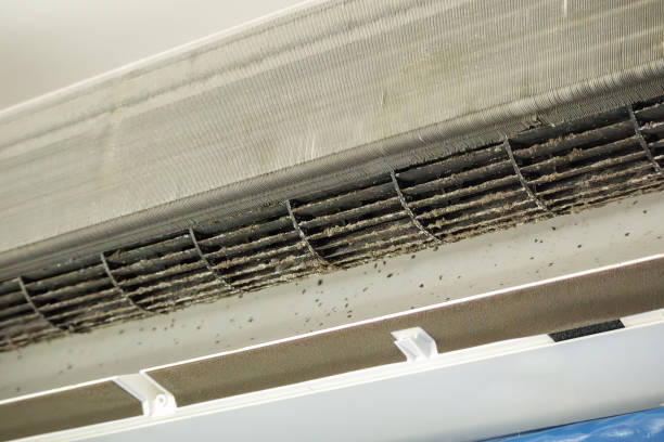 Best Air Duct Cleaning Near Me in Burnet, TX
